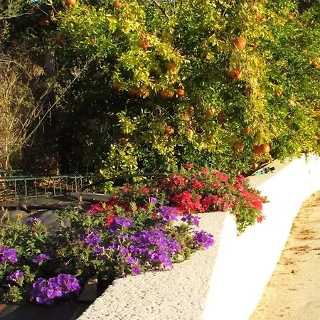 U Pianarellu Bed & Breakfast Olmeto (Corsica)