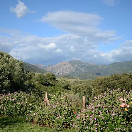 U Pianarellu Frühstückspension Olmeto (Corsica)